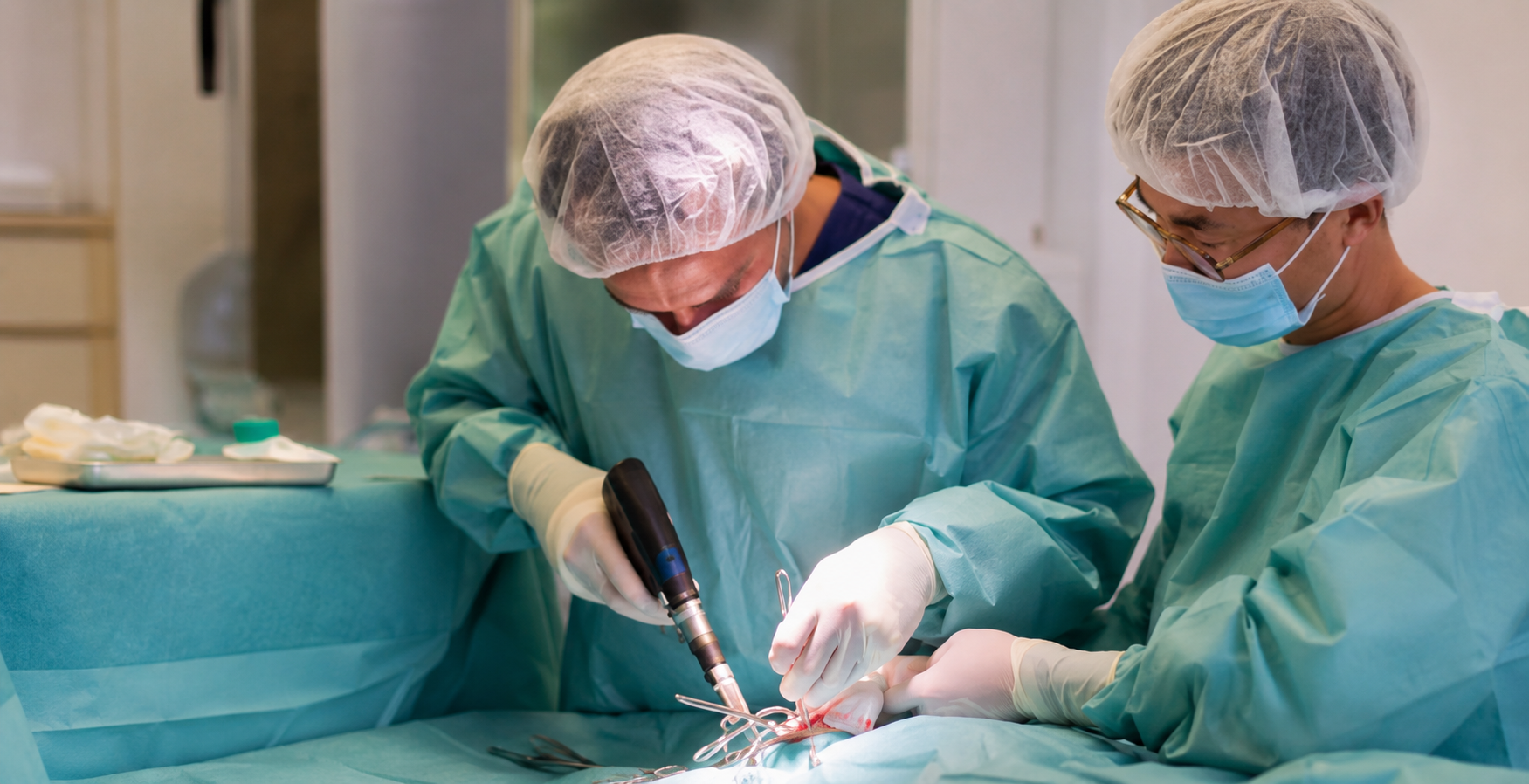 Chirurgie vétérinaire